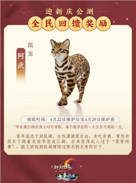 搬砖 天龙八部 私服